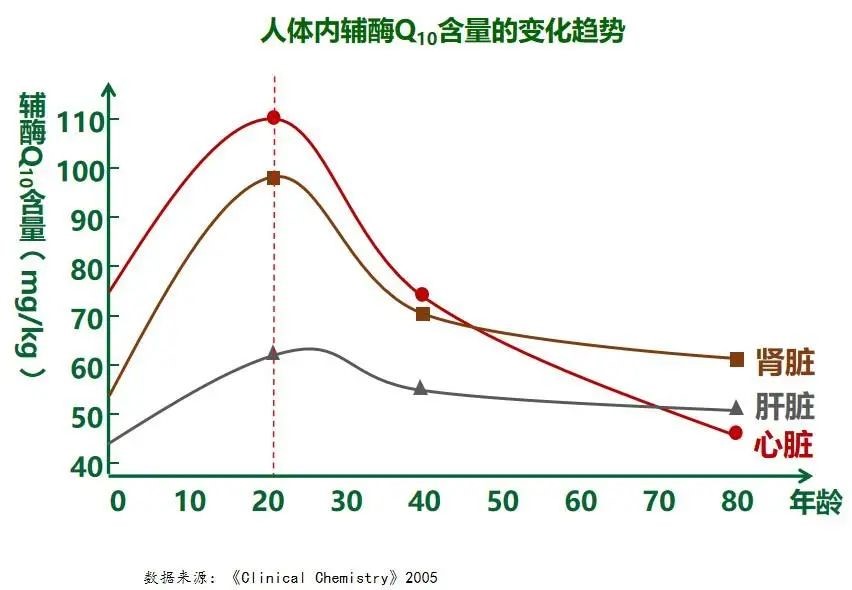 激发正文3.jpg